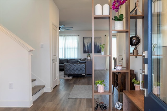 foyer entrance featuring ceiling fan, stairway, and wood finished floors