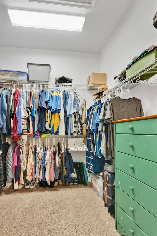 2312 Datura Loop, Saint Cloud, FL 34772 - walk in closet featuring carpet floors
