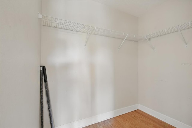 walk in closet with light wood-style flooring