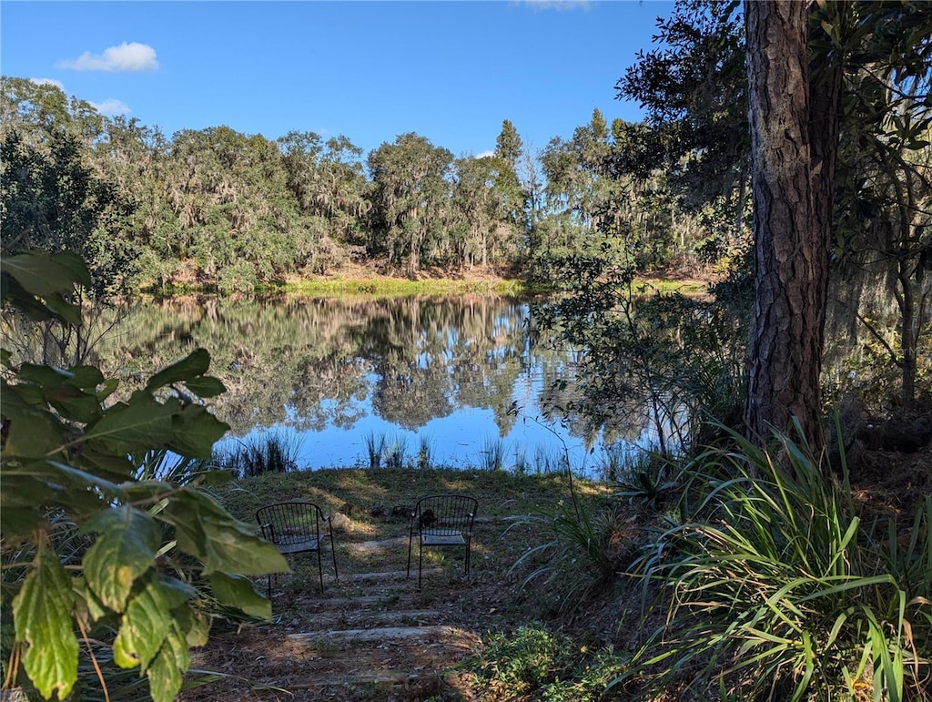 16515 W County Road 1491, Alachua, FL 32615 - photo 2