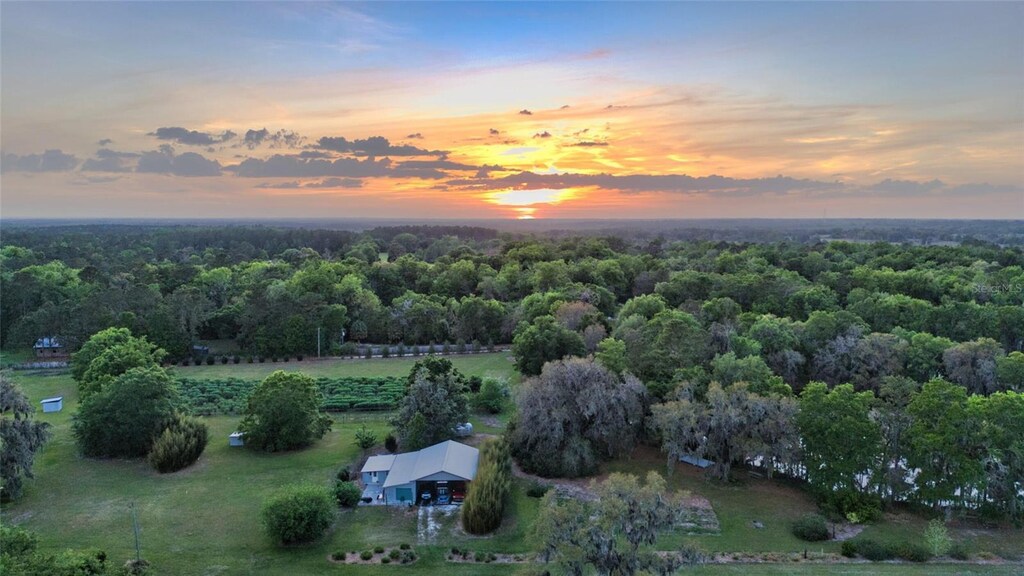 16515 W County Road 1491, Alachua, FL 32615 - photo 3