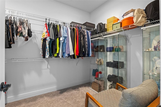 walk in closet with carpet floors