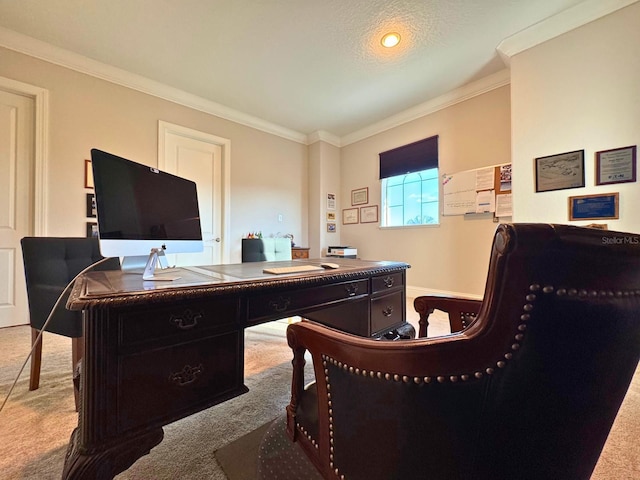 office with carpet floors and crown molding