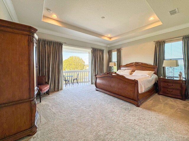 carpeted bedroom with a raised ceiling, multiple windows, and visible vents