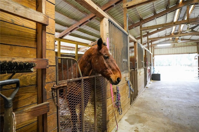 view of horse barn