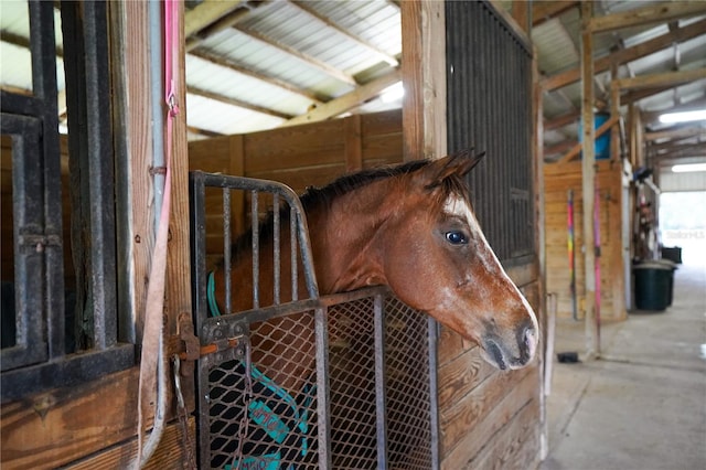 view of horse barn