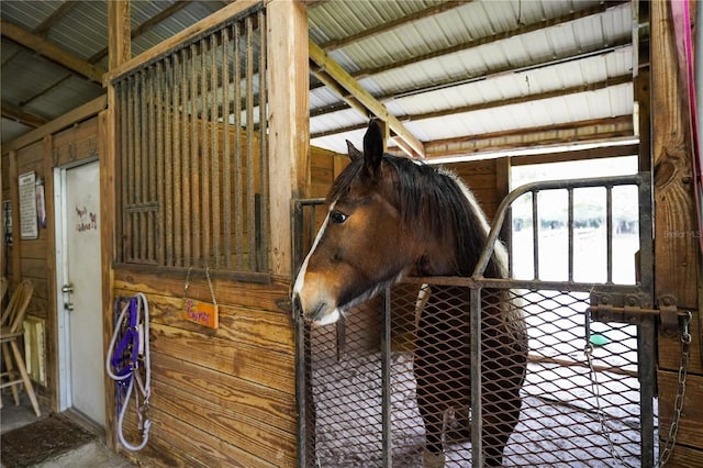 view of horse barn