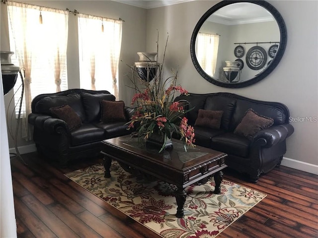 living area featuring baseboards, ornamental molding, wood finished floors, and a healthy amount of sunlight