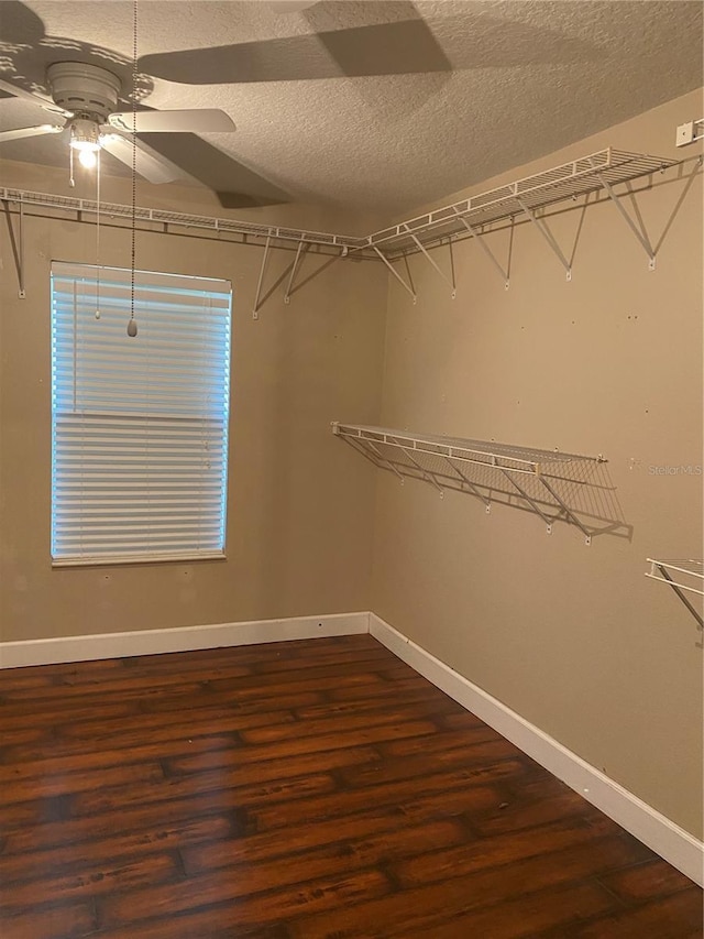 walk in closet featuring a ceiling fan and wood finished floors