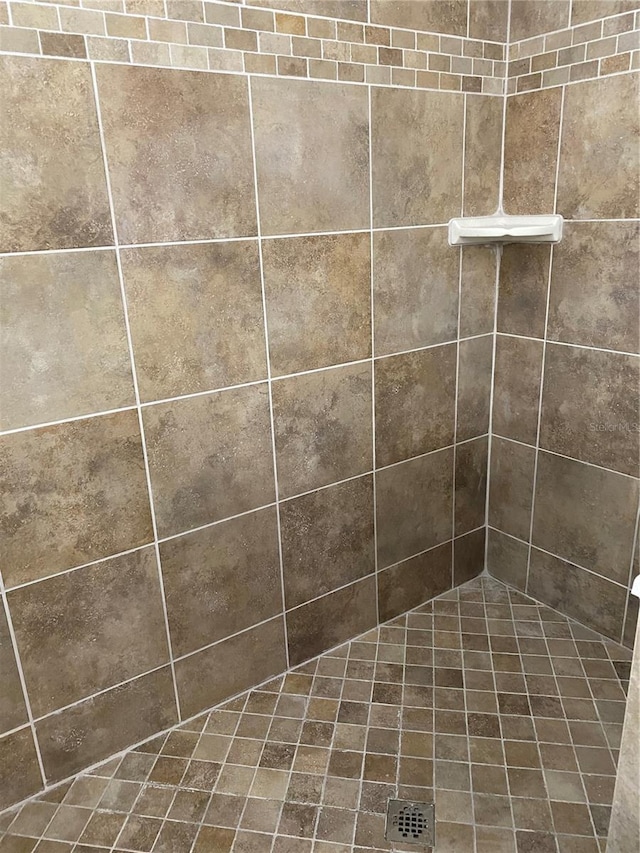 room details with tiled shower