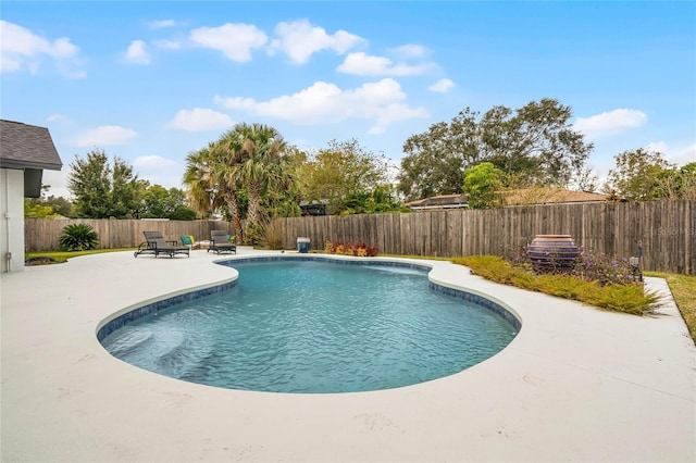 view of pool with a patio, a fenced backyard, and a fenced in pool