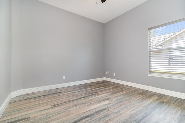 442 Flora Creek Ct, Lake Mary, FL 32746 - photo 27