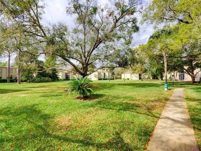 view of green lawn