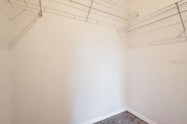 walk in closet featuring carpet flooring