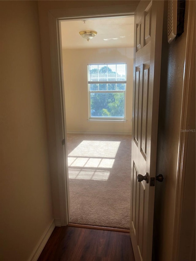 hall featuring dark colored carpet, dark wood-style flooring, and baseboards