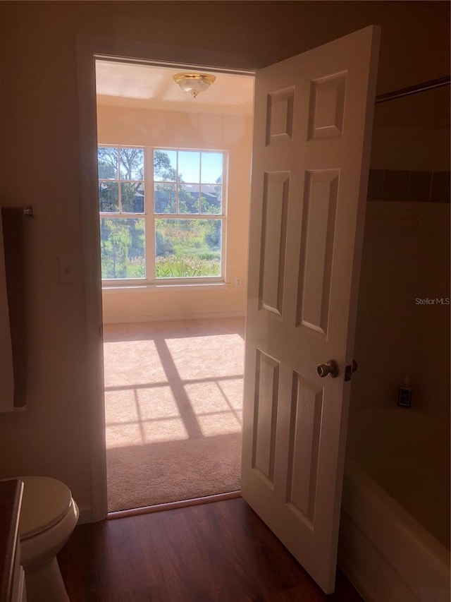 interior space featuring carpet floors and wood finished floors