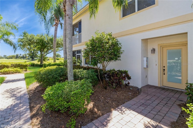 view of exterior entry featuring stucco siding