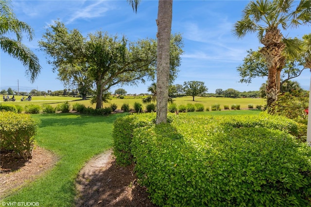 view of yard with a rural view