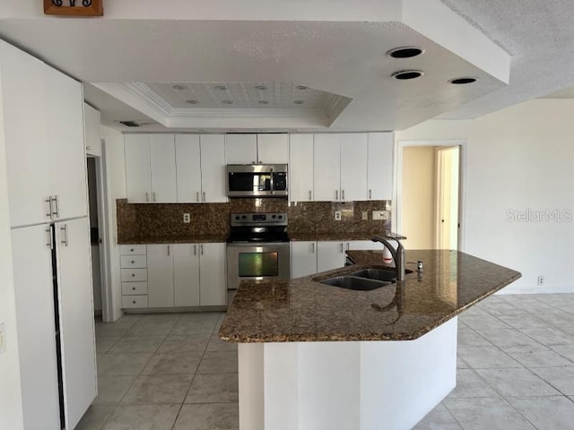 kitchen with a sink, white cabinetry, appliances with stainless steel finishes, decorative backsplash, and a tray ceiling