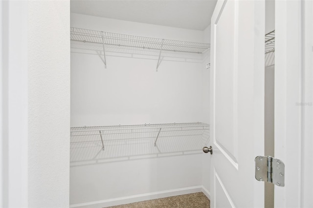 view of walk in closet