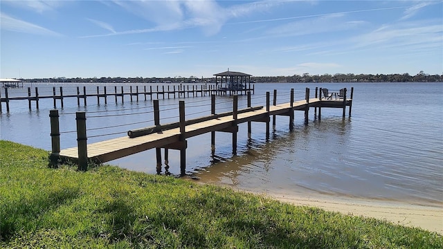 dock area with a water view