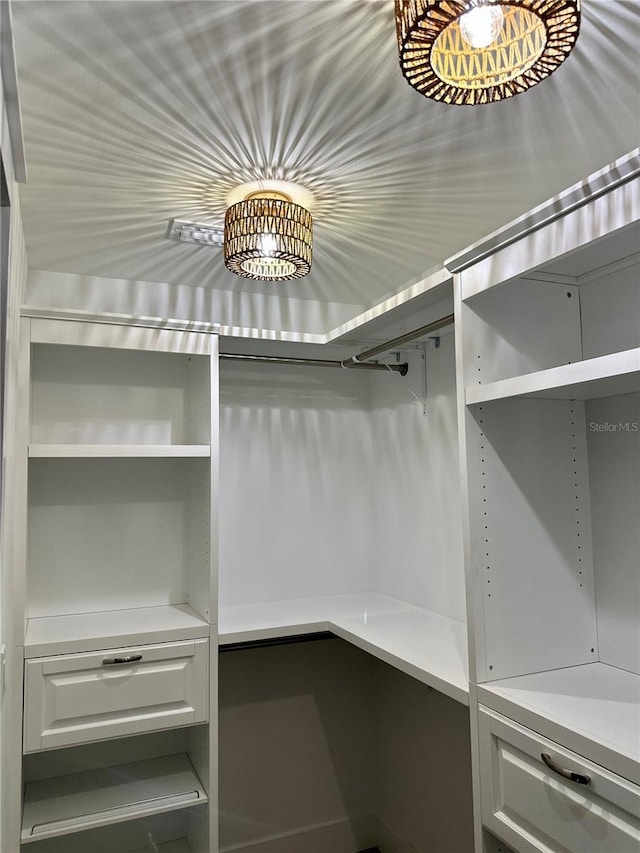 view of spacious closet