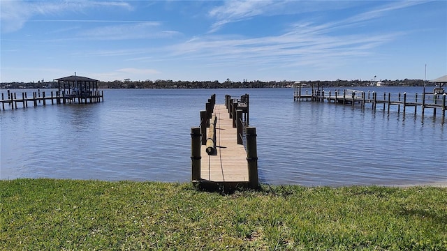 dock area featuring a water view