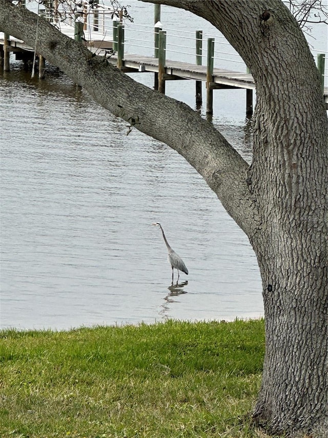 dock area with a water view