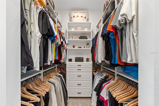 5500 State Road 33, Clermont, FL 34714 - spacious closet featuring carpet