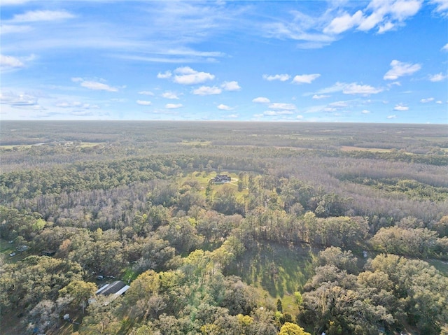 5500 State Road 33, Clermont, FL 34714 - bird's eye view featuring a view of trees