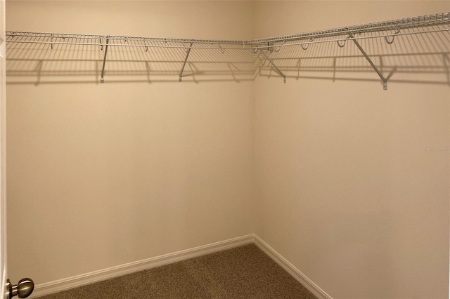 walk in closet with dark colored carpet