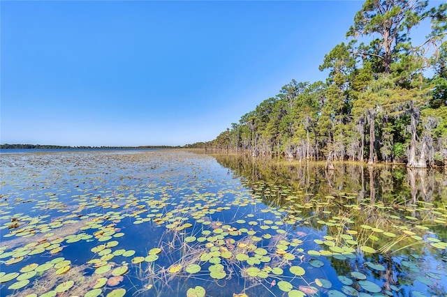 property view of water