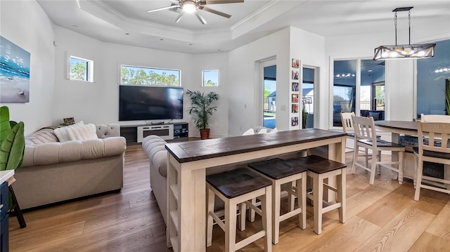 dining room with light wood finished floors, a healthy amount of sunlight, ornamental molding, ceiling fan with notable chandelier, and a raised ceiling