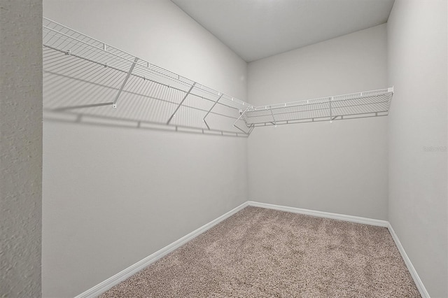 walk in closet with carpet