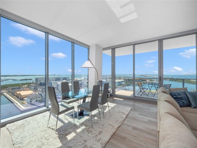 sunroom featuring a water view and a wealth of natural light