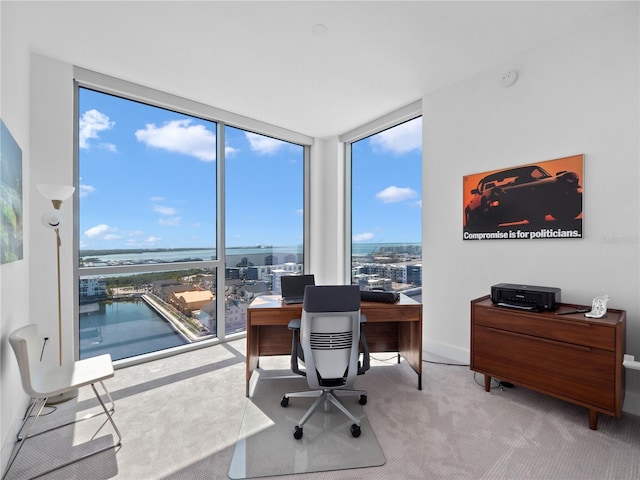 office featuring floor to ceiling windows and carpet flooring