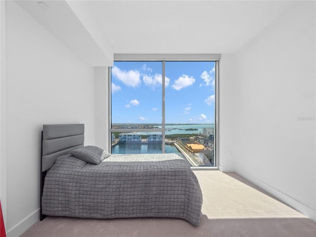 bedroom featuring carpet flooring, baseboards, and a water view