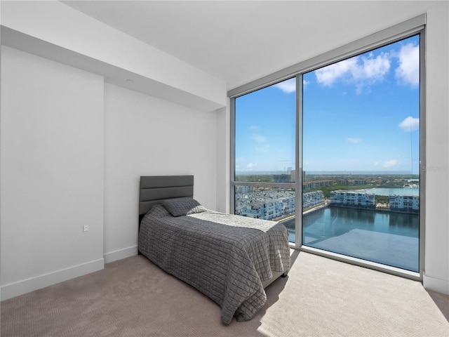 carpeted bedroom featuring a city view, baseboards, a water view, and expansive windows