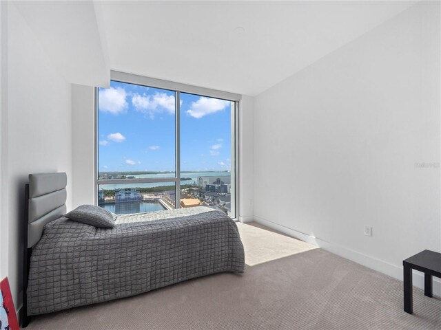 bedroom featuring carpet flooring, a wall of windows, baseboards, and a water view