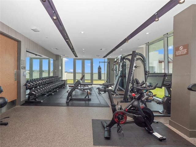 gym with french doors, visible vents, and expansive windows