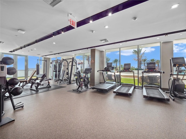 gym featuring visible vents and expansive windows