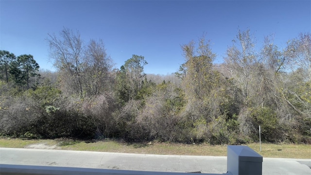 view of road with a forest view