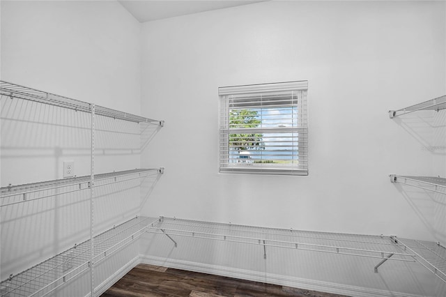 spacious closet featuring dark wood finished floors