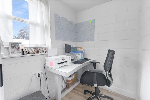 office with light wood-style floors