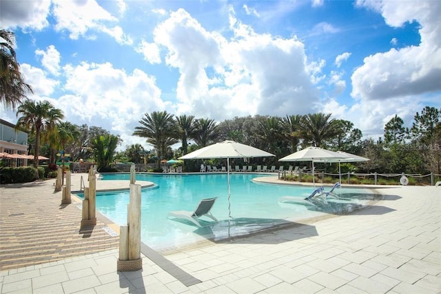 pool featuring a patio area