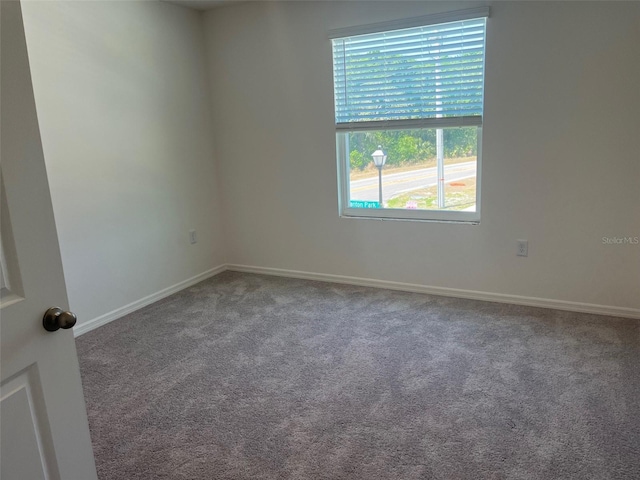 2005 Canton Park Dr, Winter Haven, FL 33881 - carpeted empty room with baseboards