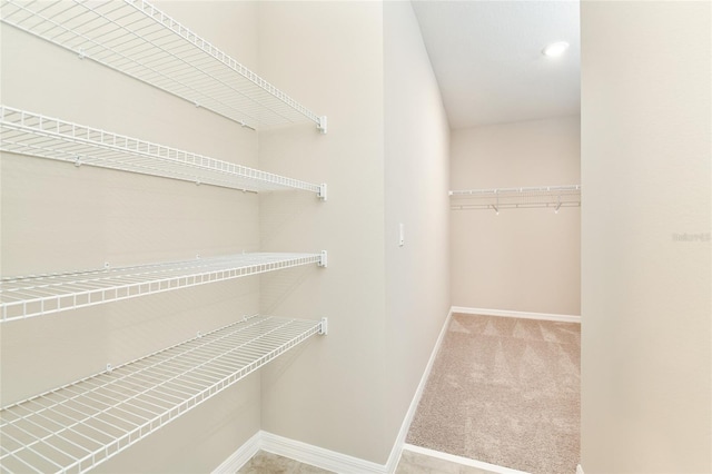 walk in closet with light colored carpet