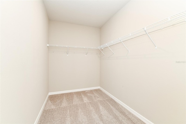 spacious closet with light colored carpet