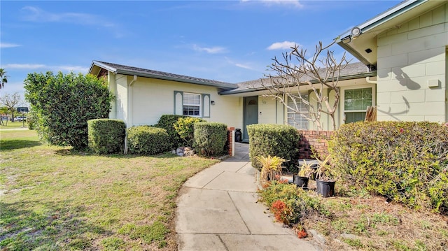 doorway to property featuring brick siding and a yard