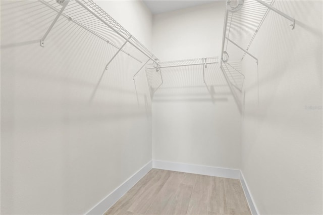 walk in closet with light wood-style flooring